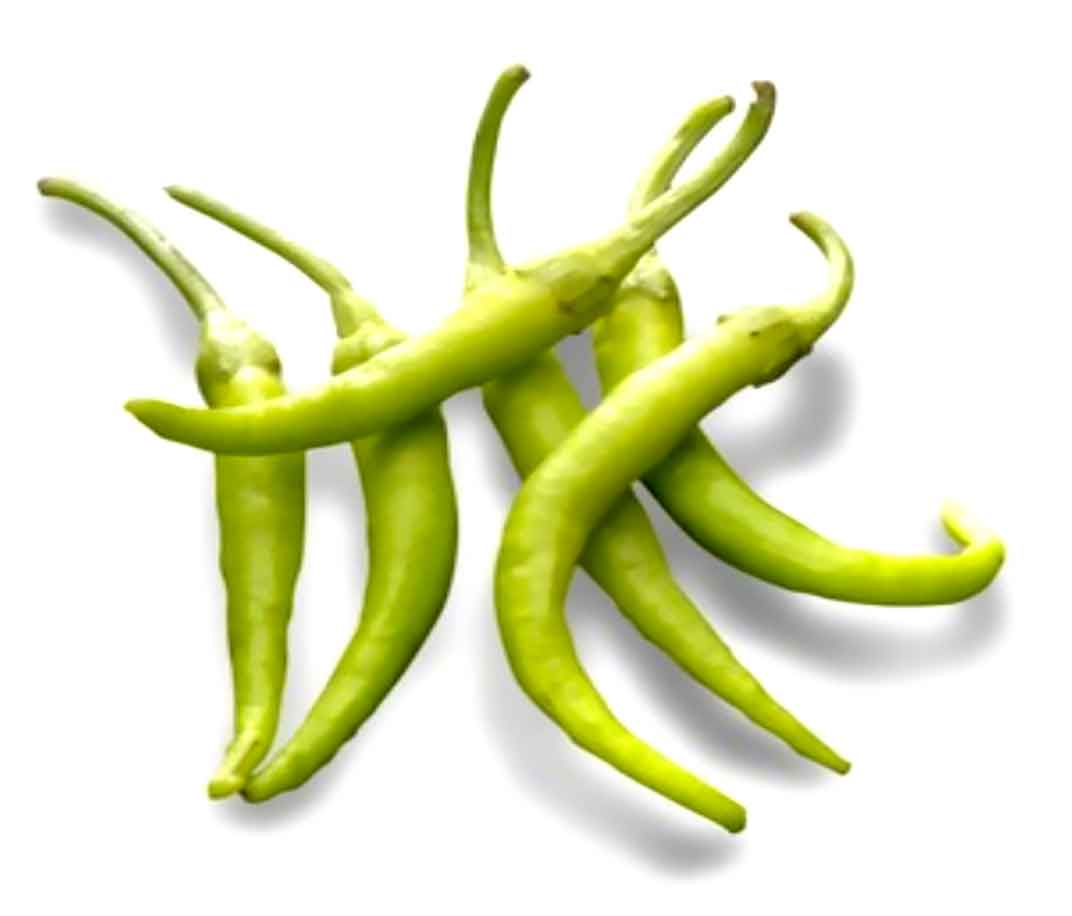 guindilla-en-vinagre